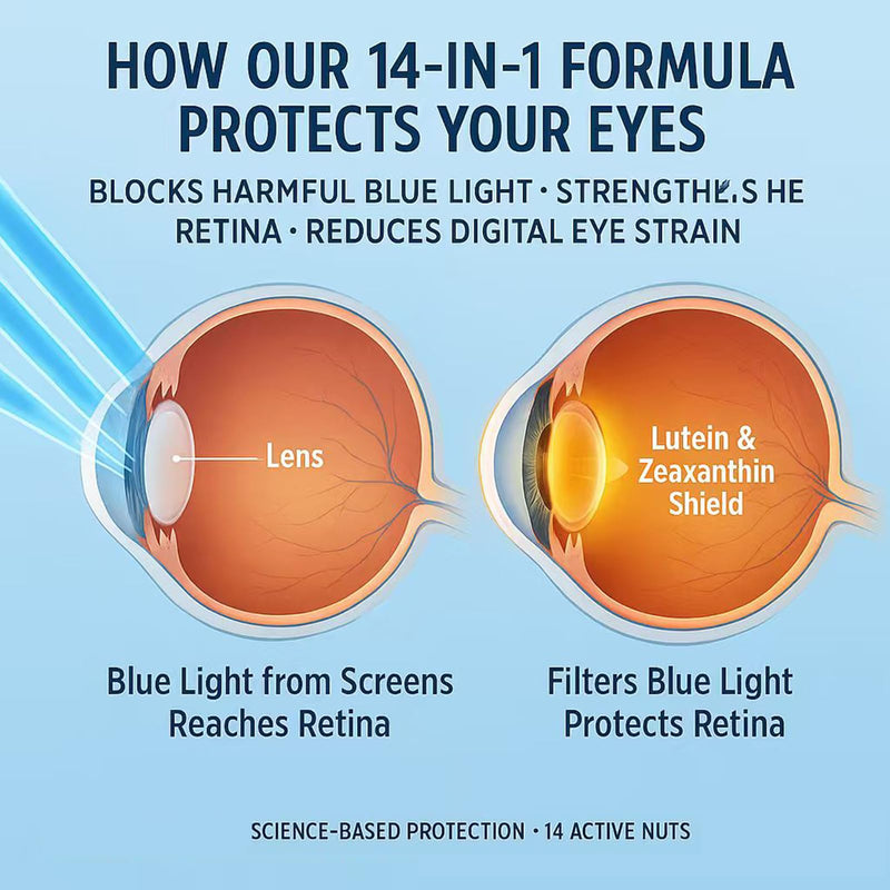 Evervision 14 in 1 Advanced Eye Formula, Neurobella Eye Vitamin and Mineral Supplement with Zinc, Lutein, Zeaxanthin & Bilberry Extract, 60 Capsules (1)
