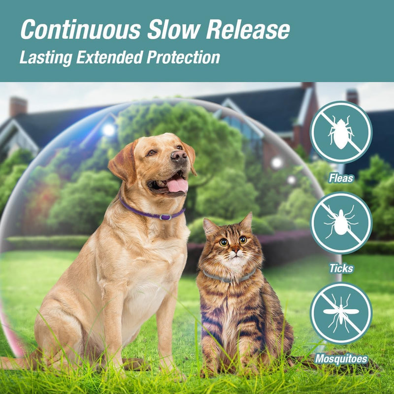 Flea & Tick Collar 2-Pack Gray, Protects from Biting Insects, Adjustable Fits Both Dogs & Cats, Built-in Plant Based Formula, Slow Release Lasting Protection, Waterproof Grey - BeesActive Australia