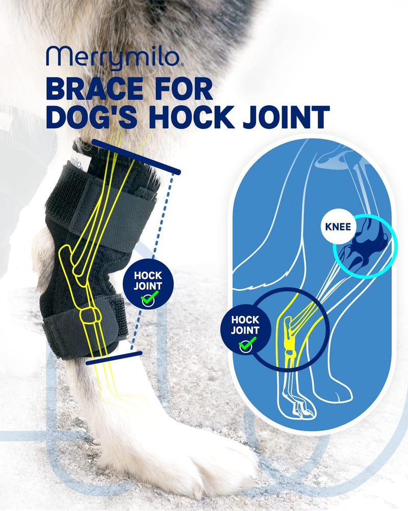 Dog Leg Brace for Rear Hock & Ankle, Canine Hind Leg Joint Compression Wrap for Torn ACL & CCL, Injury and Sprain Protection, Wound Care and Loss of Stability 1 Pair, Size: Large Size: Large(2 Pack) black