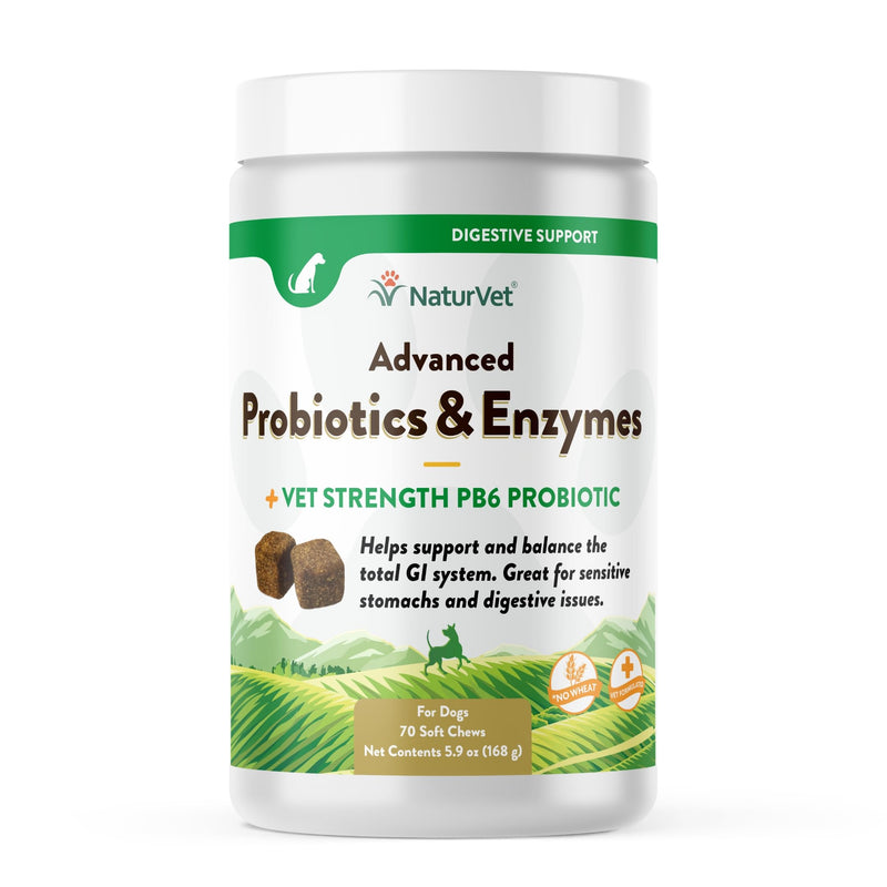 NaturVet Advanced Probiotics & Enzymes, PB6 Dog Soft Chews to Help Sensitive Stomachs and Digestive Issues, Hickory Smoked Bacon Flavored Pet Supplement for Dogs Over 6 Weeks, 70 Count Jar 70 Soft Chews