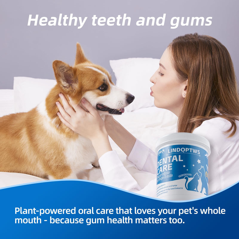 Dog Dental Wipes for Teeth Cleaning - Dog Tooth Wipes & Finger Toothbrush for Dogs, Waterless Formula Helps Fight Plaque and Tartar, Freshens Breath, Easy No-Rinse Oral Care (60 Count)