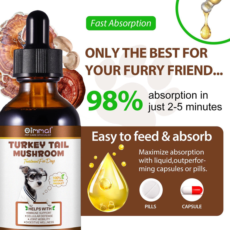 Turkey Tail Mushroom Supplement for Dogs - Liquid Formula with Probiotics & Turmeric, Supports Immune System, Digestive Health, and Joint Flexibility - Delicious Bacon Flavor (120ML) Pack of 1