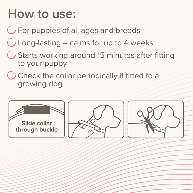 Beaphar - CaniComfort® Calming Collar For Puppies – Reduces Stress & Anxiety – Pheromone Calming for Puppies – Long-Lasting Up To 4 Weeks – Ideal for Anxious Dogs & Long-Term Stress – 1 x 45cm Collar