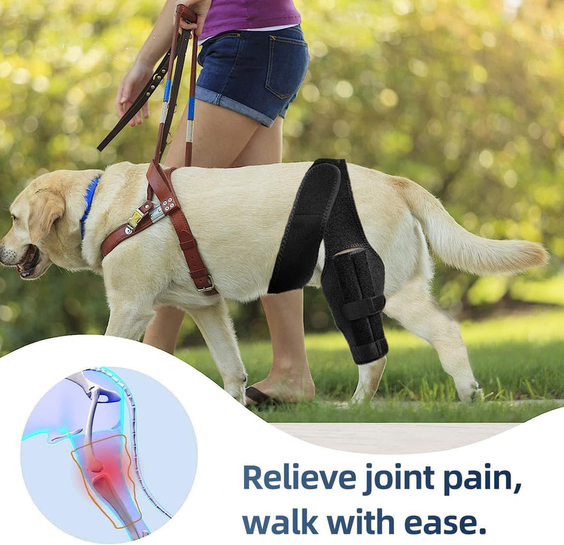 Dog Knee Brace for Torn Acl and Ccl Injuries, Adjustable Dog Acl Brace Hind Leg Support with Metal Stabilizers, Knee Brace for Dogs Back Leg Helps with Joint Pain, Surgery Recovery (M) M