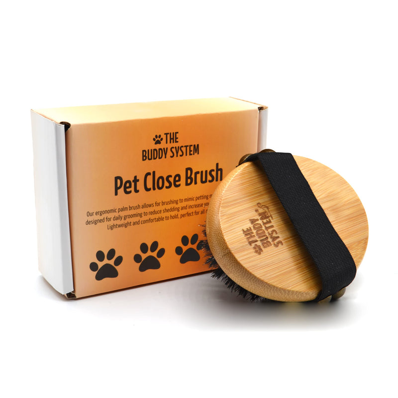 The Buddy System Pet Close Brush, Soft Touch Oval Palm Brush - Bamboo Massage Handheld with Soft Boar Bristles and Elastic Band for Dogs and Cats 1-pack Oval Brush - BeesActive Australia