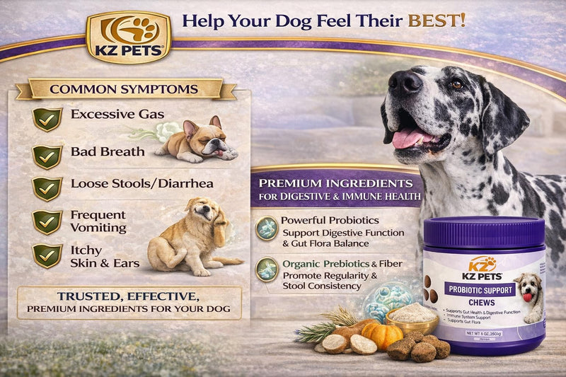 Probiotic Support Chews for Dogs – 6 Billion CFU 5-Strain Dog Probiotic with Prebiotics & Digestive Enzymes – Gut Health, Digestive Support & Immune Support Supplement – 100 Soft Chews