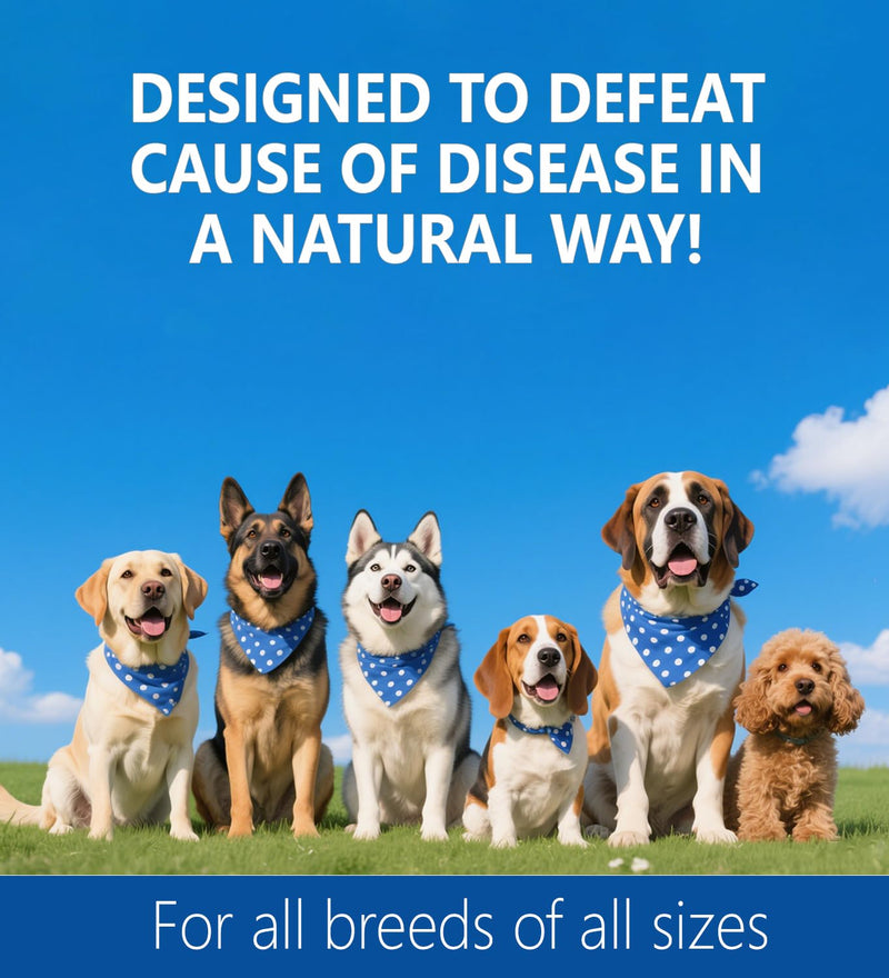 Allergy Relief Drops for Dogs, Allergy and Immune, Immune Support Supplement, Dog Supplement, Natural Pet Supplement for Dog Allergy Relief with Turmeric & Milk Thistle - 2 oz