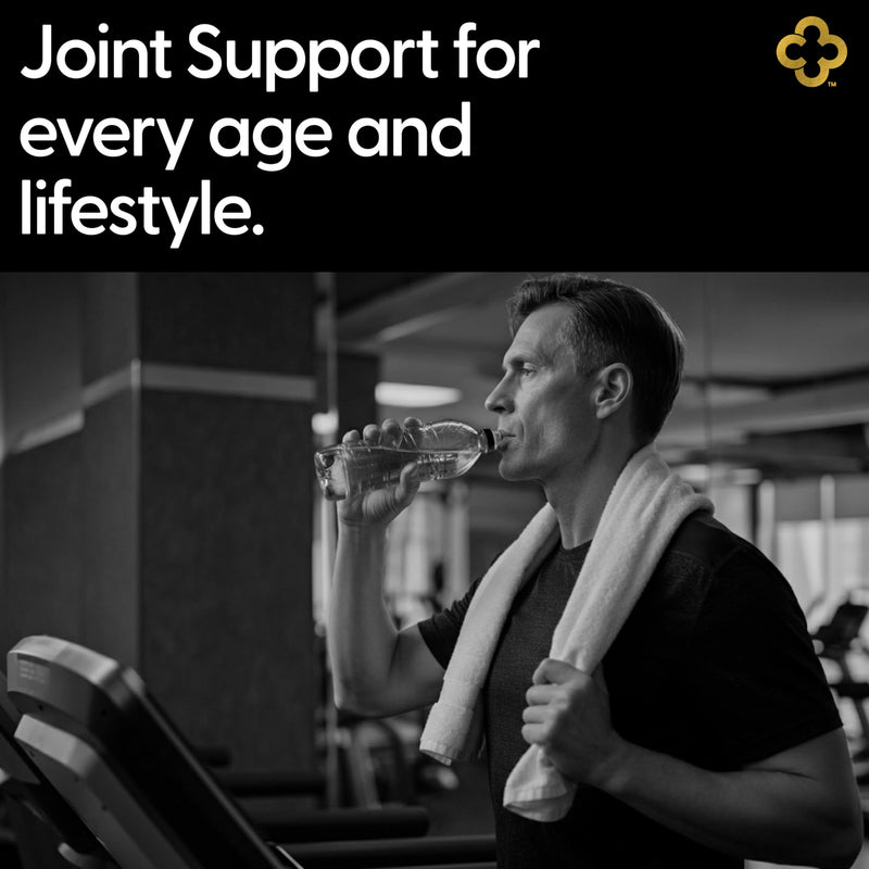 Glucosamine Chondriotin MSM All-in-One Joint Support Supplement Turmeric, Hyaluronic Acid, Boswellia, Ginger Root, Bamboo, BioPerine, Black Pepper, Supports Joint Health & Flexibility 90 Count - BeesActive Australia