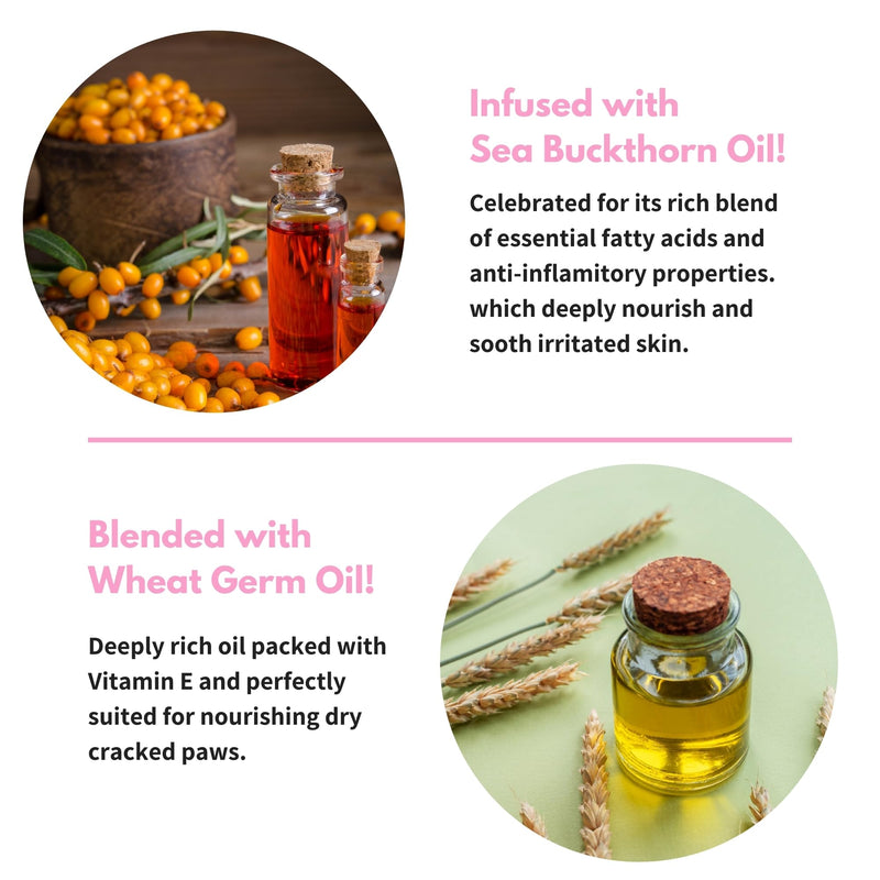 Toe Bean Oil: Premium Paw & Nail Cleansing Treatment, 100% Natural, Safe for All Cats and Dogs, 2 Fl. Oz. - BeesActive Australia