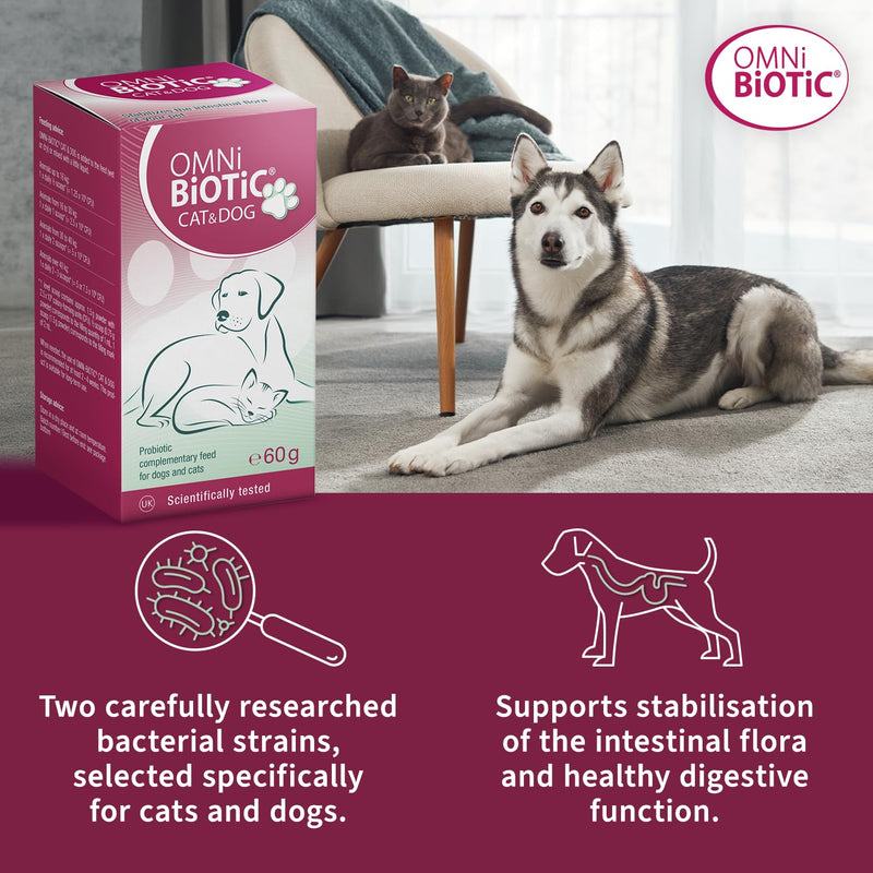 OMNi BiOTiC CAT & DOG | Probiotic for Cats & Dogs with Digestive Problems | Easy to Use with Wet or Dry Food | Suitable for Cats and Dogs of all Ages | Probiotic Powder | 60 g