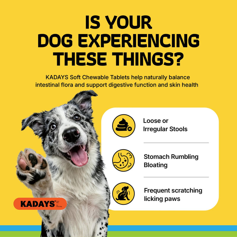 Probiotics for Dogs Probiotics for Digestive Health Dog Gut Health Probiotics Dog for Diarrhea Gut Immune Health Digestive Probiotic Chews for Dogs Itchy Skin Eases Bloating Chicken Flavor 200 Ct
