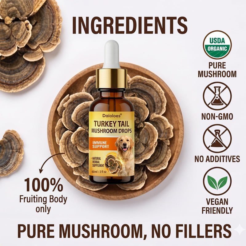 Turkey Tail Mushroom for Dogs, Immune Support & Digestive Health Supplement, 5X Turkey Tail Mushrooms for Pet Liquid Drops with Natural Turmeric & Probiotic, Faster Absorption, 2 Fl Oz(Pack of 1) 2 Fl Oz(Pack of 1)
