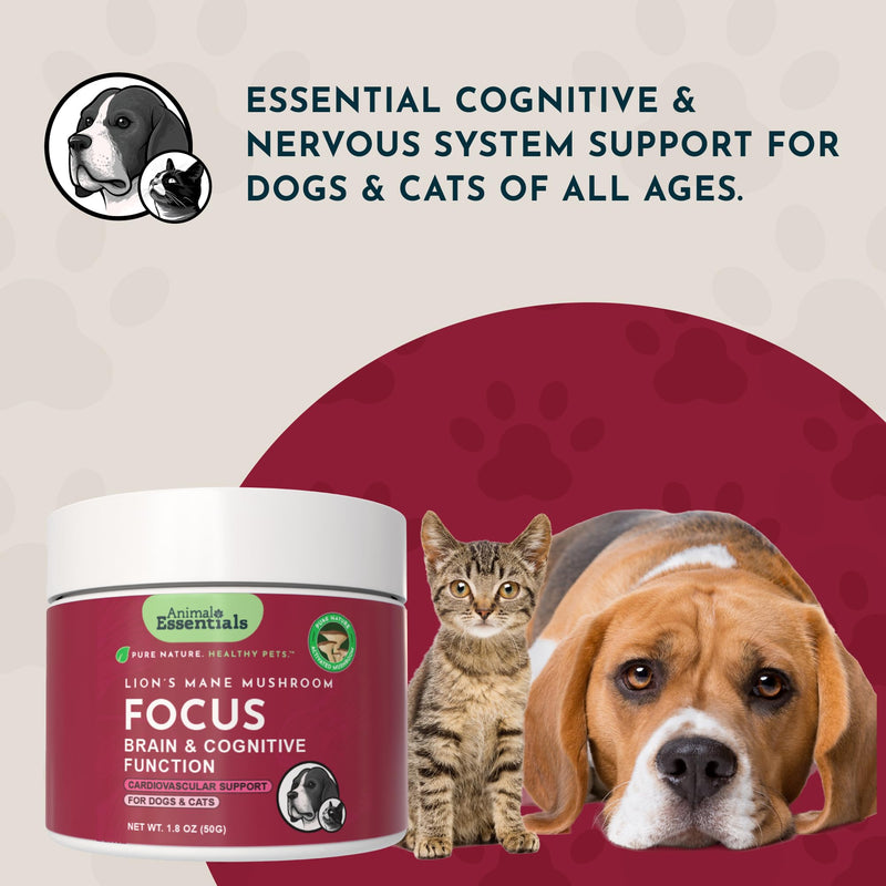 Animal Essentials Focus Lions Mane Mushroom Supplement for Dogs & Cats - Supports Brain Health, Cognitive Function, Healthy Immune Response, Mushroom Powder Extract - 1.8 Oz (Pack of 1)