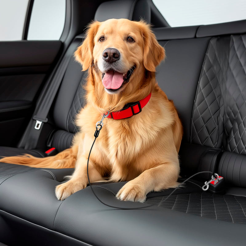 Dog Seat Belt for Car, LApapaye Dog Car Seat Belt, Chew and Tear Resistant, Seat Belt for Dogs in Car, Coated Wire Rope Safety Restraint, Double End with Safety Buckle (Black, 32 Inches) Black - BeesActive Australia