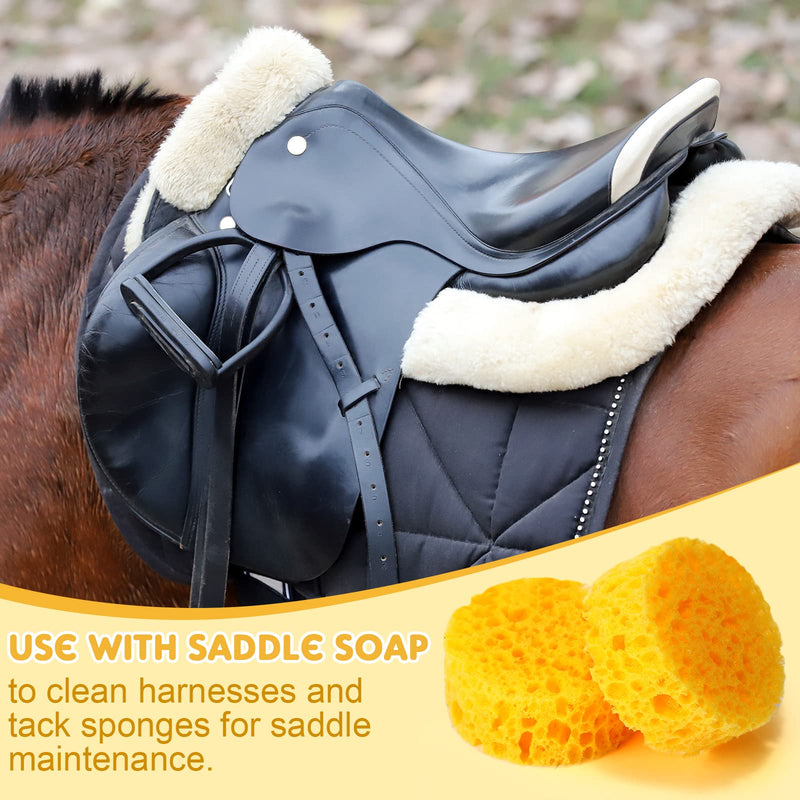 30 Pcs Tack Cleaning Sponges Horse Saddle Sponge Tack Sponges for Leather Saddle Horse Supplies Boot Crafts Ceramics Household Use and More, Medium Hole Round, 2.83 x 1.18 Inches - BeesActive Australia