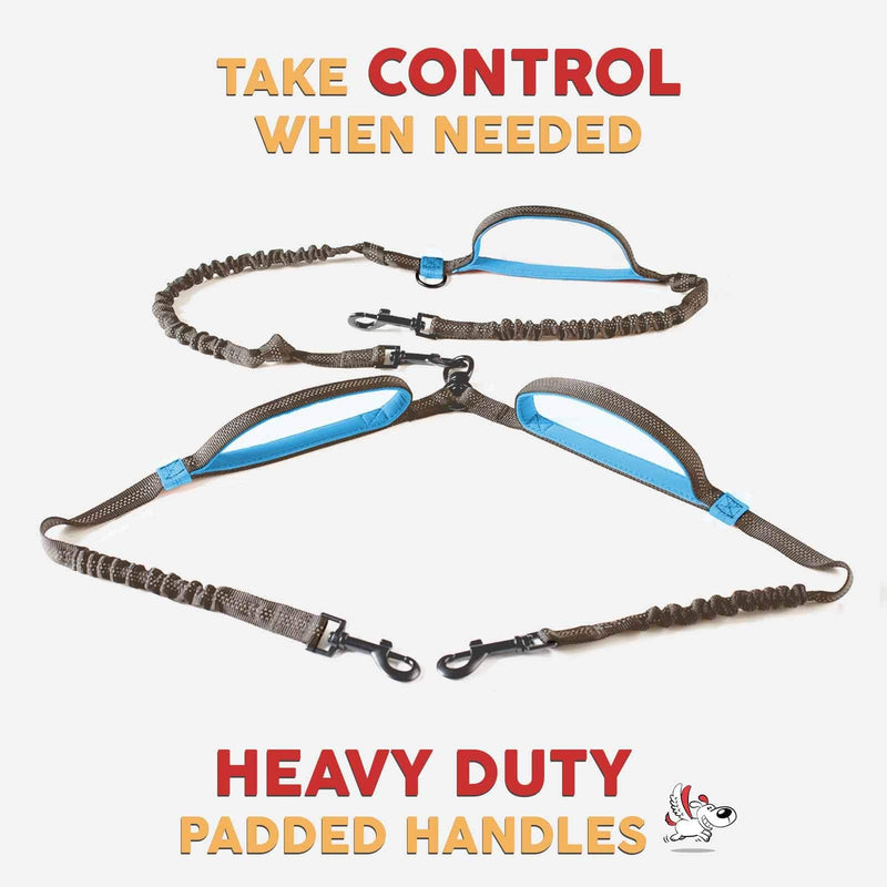 Exquisite Double Hands Free Leash for Large Dogs - Dog Leash 2 Dogs - Waist Dog Leash for Large Dogs - Two Dog Leash for Large Dogs - Hands Free Running Dog Leash (Large, Grey & Blue) Two Large Dogs (35-150 lbs each) - BeesActive Australia