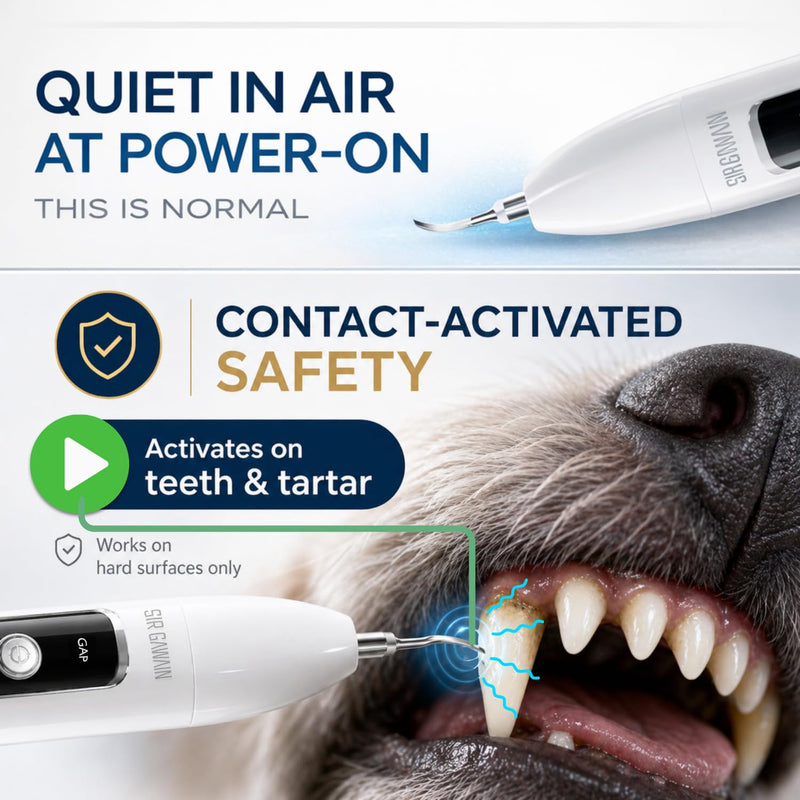 SIRGAWAIN Pet Ultrasonic Dental Cleaner — Plaque, Tartar & Stains Remover, 4 Tips, 3 Modes, LED, Contact-Activated & Smart Touch Protection, Complete Cleaning Kit for Dogs & Cats White