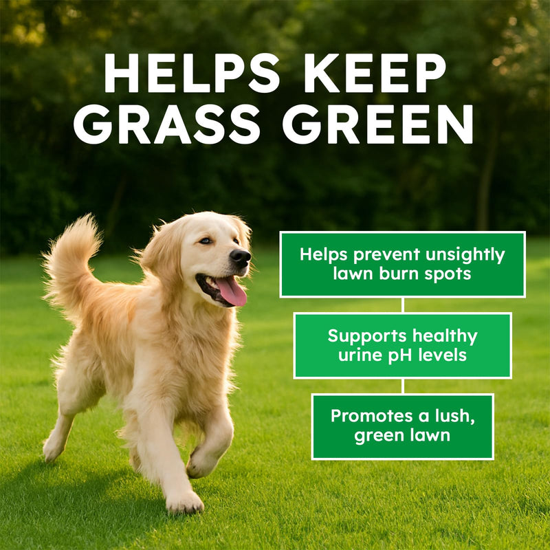 Dog Urine Neutralizer for Lawn - 150 Chews - Advanced Green Grass Dog Chews - Canine Pee Grass Saver - Green Lawn Treats with Natural Ingredients & Digestive Enzymes - Chicken