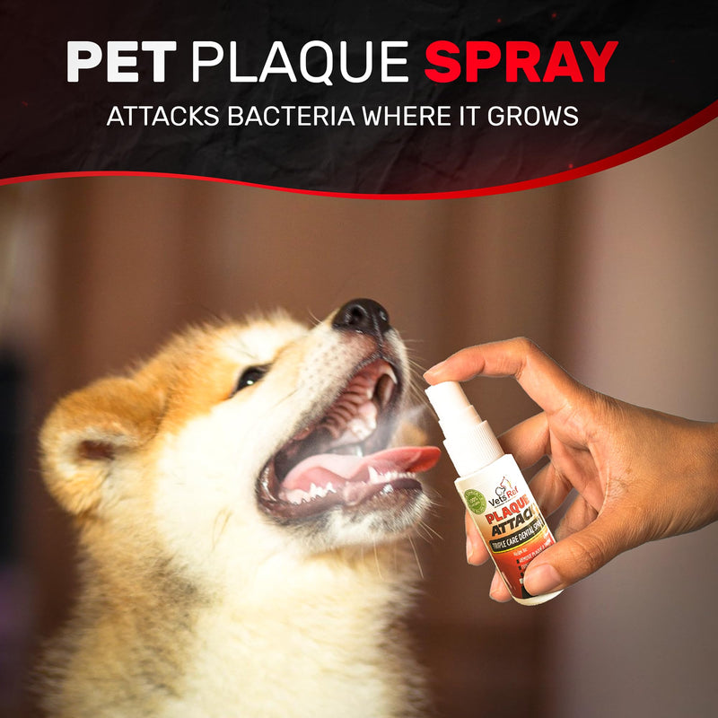 Pet Dental Spray, As Seen on TV, Eliminates Plaque & Tartar, Helps with Plaque and Tartar and Provides Instant Fresh Breath - Includes 3 Months' Supply of Peppermint Spray, 1fl. OZ (30ML) - PawsPlanet Australia