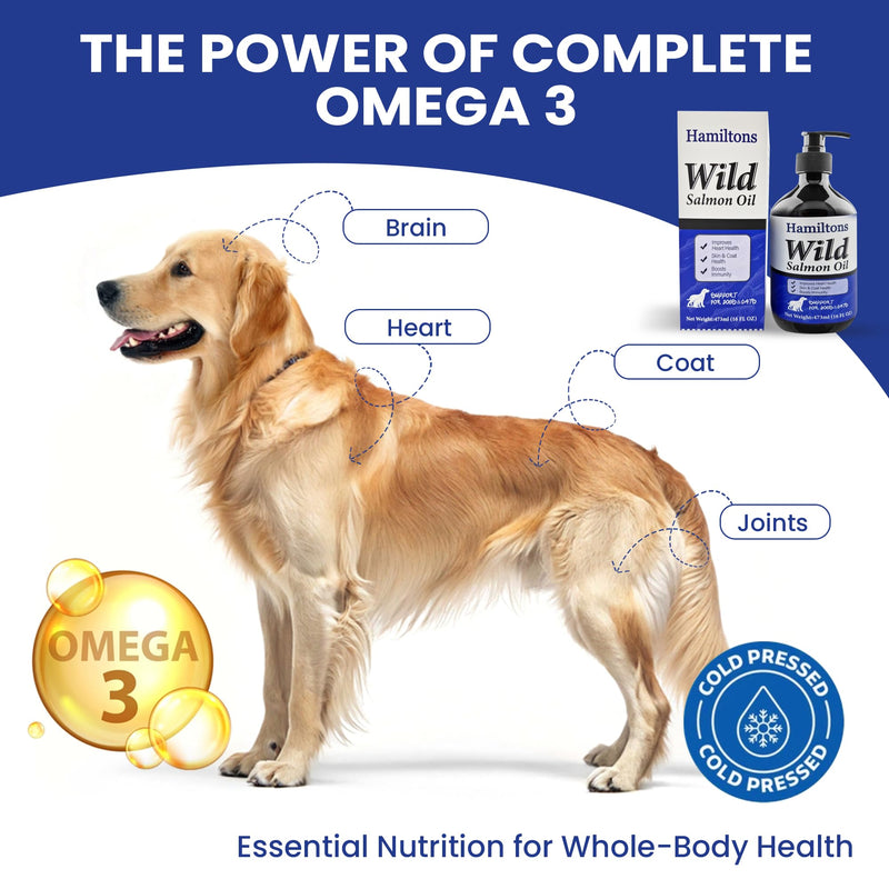 Hamiltons Wild Salmon Oil for Dogs & Cats – Pure Natural Omega-3 Supplement with Vitamin E – Promotes Healthy Skin, Shiny Coat Care, Joints & Heart – Pet Salmon Fish Oil
