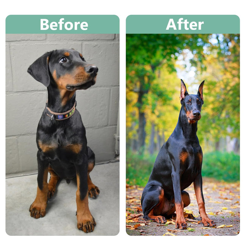 2 Pcs Dog Ear Posting Kit for Doberman Pinschers - Dog Ear Tape Ear Stand Up Support Tool with Tape for Ear Correction and Vertical Hold brown