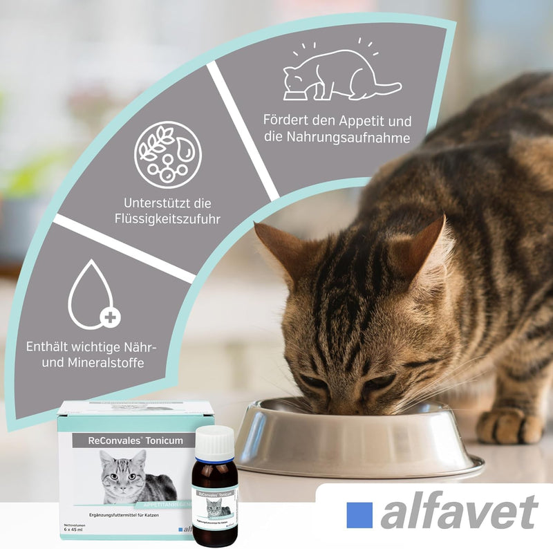 alfavet ReConvales Tonicum cat, 6 x 45ml, appetite-stimulating supplementary food for convalescence and underweight, 6 x 45ml - BeesActive Australia