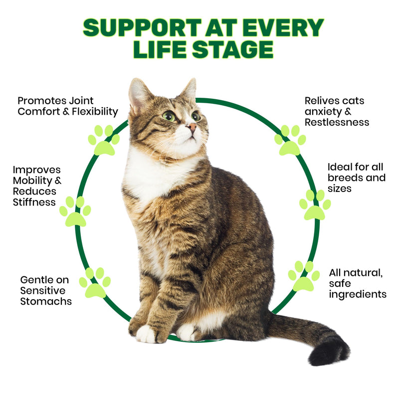 Joint Care Chews for Cats - 135 Salmon Flavoured Soft Chews