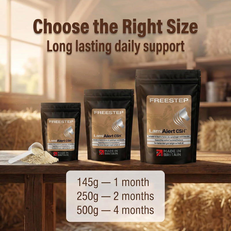 LamiAlert CSH | Natural Veteran Horse Support | Chasteberry Vitex Agnus Castus & Boswellia Powder | Senior Pony Hormonal Health Maintenance | Magnesium for Horse Grazing Management 250g | 2 Months Supply