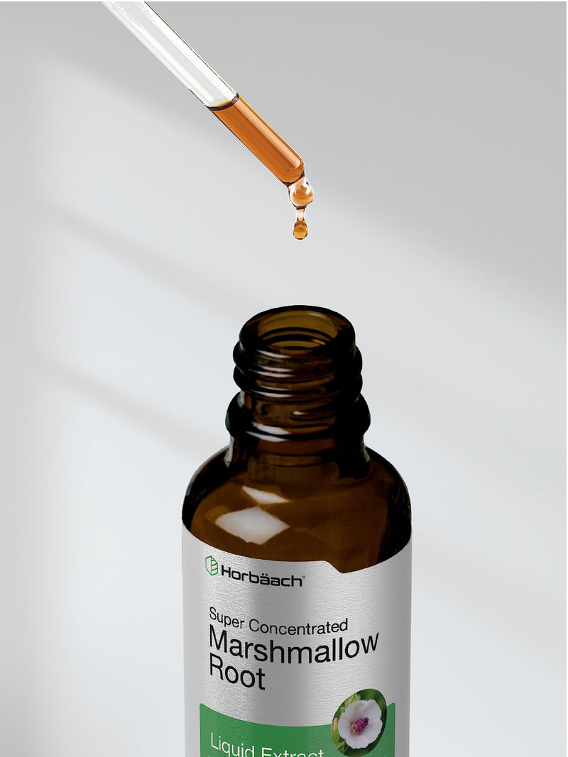 Horb√§ach Marshmallow Root Extract Tincture | 2 fl oz | Althaea Officinalis Liquid | Alcohol Free | Vegetarian, Non-GMO & Gluten Free