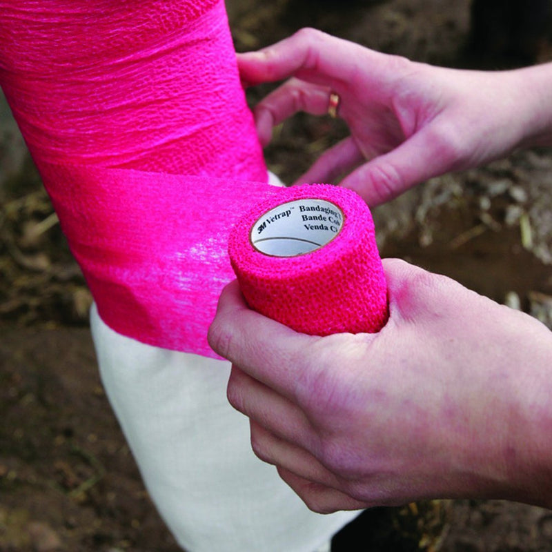 Adhesive Bandage/Self-Adhesive Bandage for Pets, 6 Rolls x 10cm x 4.5m, 10-450cm, Sky Blue - BeesActive Australia