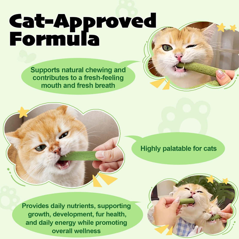 Freeze-Dried Cat Grass Sticks for Teething, High Meat Content Hairball Control & Dental Health Chews, Grain-Free Cat Treats with Chicken & Egg Yolk Grass Grass Sticks 1.12 Ounce (Pack of 1)