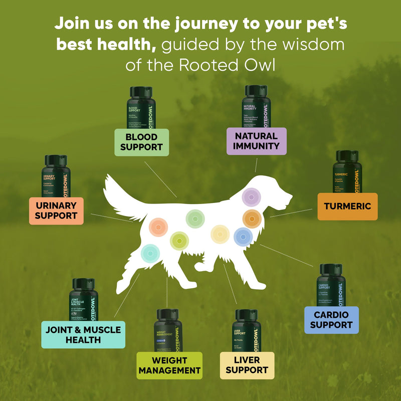 Rooted Owl Metabolism Support - L-Carnitine Supplement for Dogs and Cats to Support Healthy Weight - Dog and Cat Supplement - 60/ct Weight Management