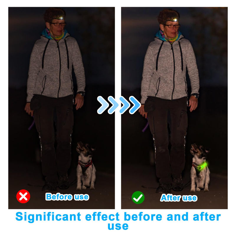 Pack of 2 safety LED light bands for dogs and cats, USB rechargeable safety light collar for dogs, LED light bands for pets with Velcro fastener, easy to attach to collar, leash, harness - BeesActive Australia
