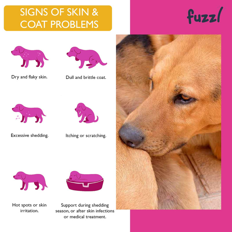 Fuzzl Itch Relief Skin & Coat Supplement Max Strength - Science Backed, Vet Approved, Made in UK - Omega 3, Vitamins - Daily Anti-Itch Supplement for Dry Skin Supports Healthy Skin & Coat 30 Treats Skin 30s