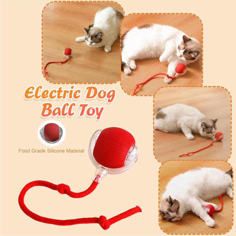 3pcs Interactive Rolling Dog Ball Interactive Dog Toys Electric Dog Ball Toy Rolling Dog Ball Cat Toys 360° Smart Automatic Rolling Ball Toy for Indoor Dogs/Cats（Red+Green+Gray） 3pc-Green+Red+Grey