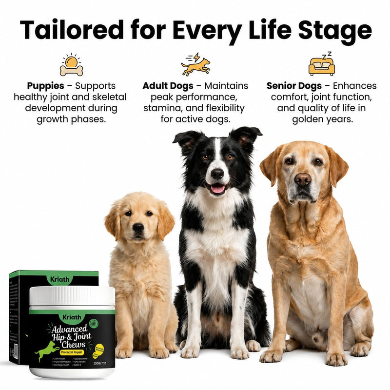 Advanced Hip & Joint Chews for Dogs, Dog Joint Supplement with Glucosamine Chondroitin MSM & Collagen, Mobility Support, Healthy Cartilage and Joint Function, Chicken Flavor Soft Chews, 200g