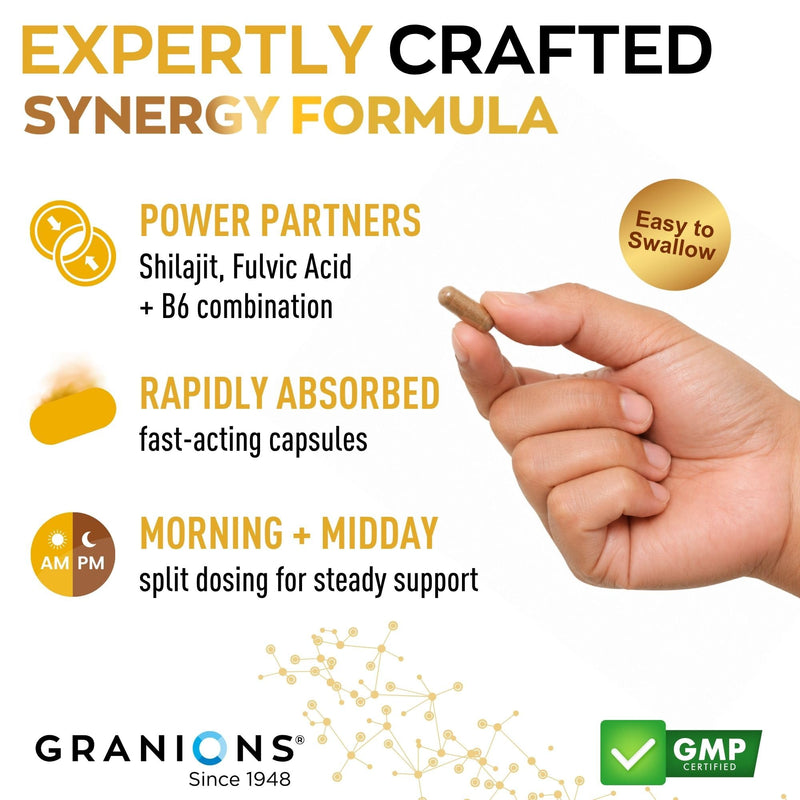 Granions Pure Shilajit for Men Capsules - Fulvic Acid Supplement, 1,000mg Himalayan Shilajit with Vitamin B6 - Ultra Energy, Vitality & Brain Support for Men and Women Supplements - 60 Capsules Shilajit (60 capsules)