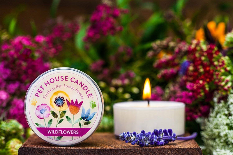 One Fur All Pet House Mini Candle - Variety 3 Pack - Pet Odor Eliminator Mini Candle - Natural Wax Candle - Mini Candle Set - Pet-Friendly Non-Toxic Scented Candle Top Sellers - PawsPlanet Australia