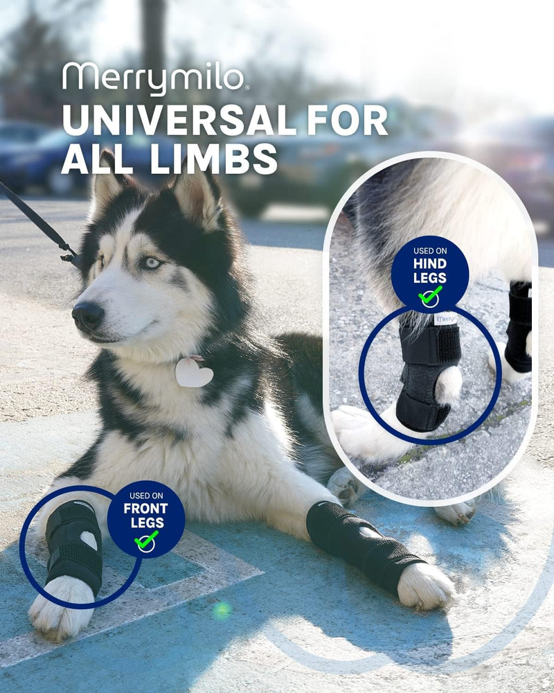 Dog Leg Brace for Rear Hock & Ankle, Canine Hind Leg Joint Compression Wrap for Torn ACL & CCL, Injury and Sprain Protection, Wound Care and Loss of Stability 1 Pair, Size: Large Size: Large(2 Pack) black