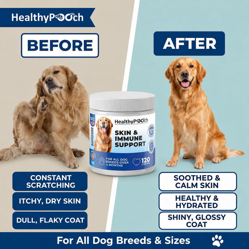 Skin & Immune Support Chews For Dogs | Supports Seasonal Itching, Licking, Scratching | Help Protect and Hydrate the Skin | 120 Servings | All Dog Breeds and Sizes