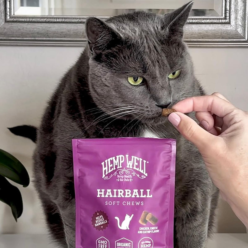 Hemp Well Cat Hairball Soft Chews for Cats, Hairball Control & Digestive Support, Organic Hemp Seed Powder, Pumpkin Seed & Psyllium Fiber, Skin & Coat Support, Chicken Cheese & Catnip Flavor, 120 Ct 120 Soft Chews