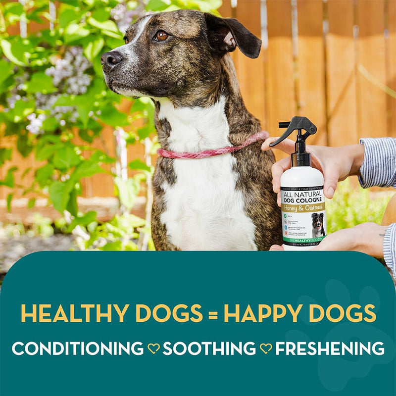 The Healthy Dog Co - Dog Perfume Spray - Honey & Oatmeal Dog Spray for Smelly Dogs - Lovely Smelling Dog Deodorant for Smelly Dogs - Dog Cologne suitable as Puppy Spray - 250ml - BeesActive Australia