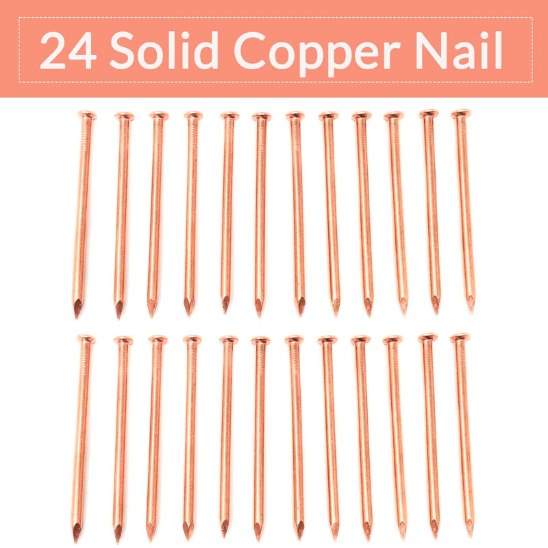 BHTOP 3.5 Inch Copper Nails Pack of 24 - Pure Copper Nail, Solid Reliable Used for Trees, Stumps, Landscaping, and Hobbies - BeesActive Australia