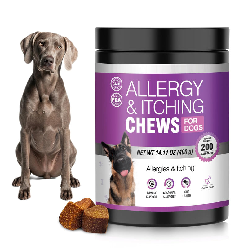 Dog Allergy & Skin Support Chews – Helps Maintain Healthy Skin and Coat, 200 PCS