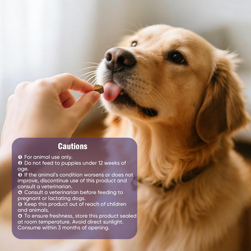 Dog Allergy Chews 200ct - Dog Allergy and Itching Skin Relief Anti Itch Aller Immune Bites for Dogs licking Paws Treatment Relief Itchy Chew Probiotics Vitamins for Skin and Coat Allergies - Chicken 2 g/capsule 200pcs