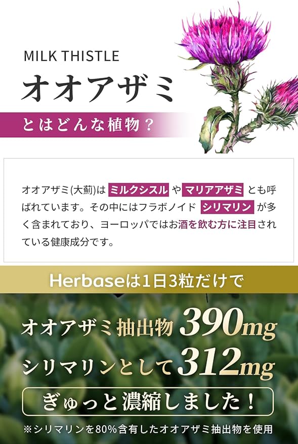 Osaiku Milk Thistle (Silymarin) Supplement 180 tablets/60 days (Milk Thistle Extract 23400mg Silymarin 18720mg Curcumin 2700mg high combination) Milk Thistle Milk Thistle Turmeric Made in Japan Milk Thistle Silymarin Supplement Herbase - BeesActive Australia
