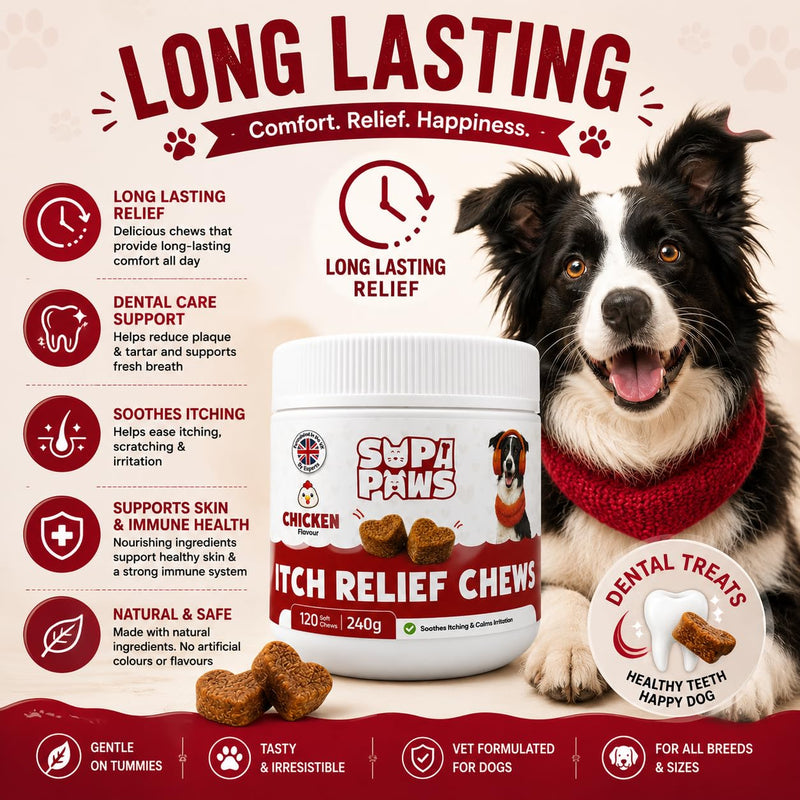 120 Soft Chews All Itch & Immunity Treats for Dogs Allergy Relief Chews for Healthy Skin & Coat Ears Itching Licking Scratching Daily Immune Support for All Breeds, Supports Seasonal Itching, Chicken 240g - Chicken