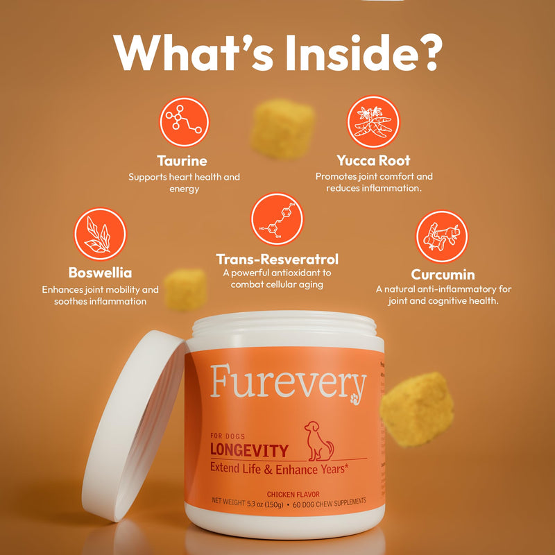 Anti-Aging Chewable Supplement for Dogs with Curcumin, Taurine, Trans-Resveratrol – Science-Backed Ingredients for Dogs to Support Aging, Wellness and Vitality - PawsPlanet Australia