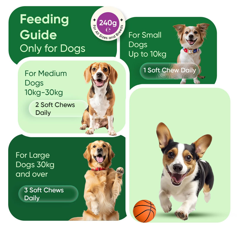 Calming Dog Treats - 120 Soft Chews - For Home Alone Time, Hyperactivity, Car Rides & Loud Noises - Dog Calming Chews with Ashwagandha, Lemon Balm & L-Taurine - Dairy-Free & Lactose-Free