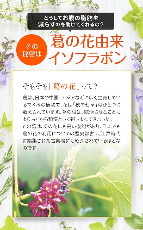 Shibohale 120 tablets (30 days supply) Herb Health Honpo Contains isoflavones derived from kudzu flowers to help reduce weight, abdominal fat, visceral fat, and subcutaneous fat in obese people (Includes information letter) - BeesActive Australia